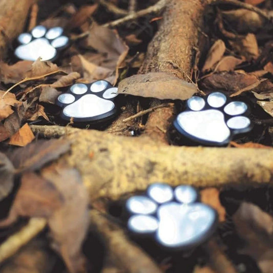 PawGlow