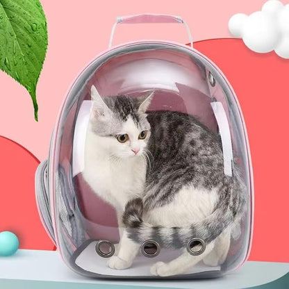 Pet Backpack | Panoramiczna Kapsuła Przygód dla Twojego Pupila